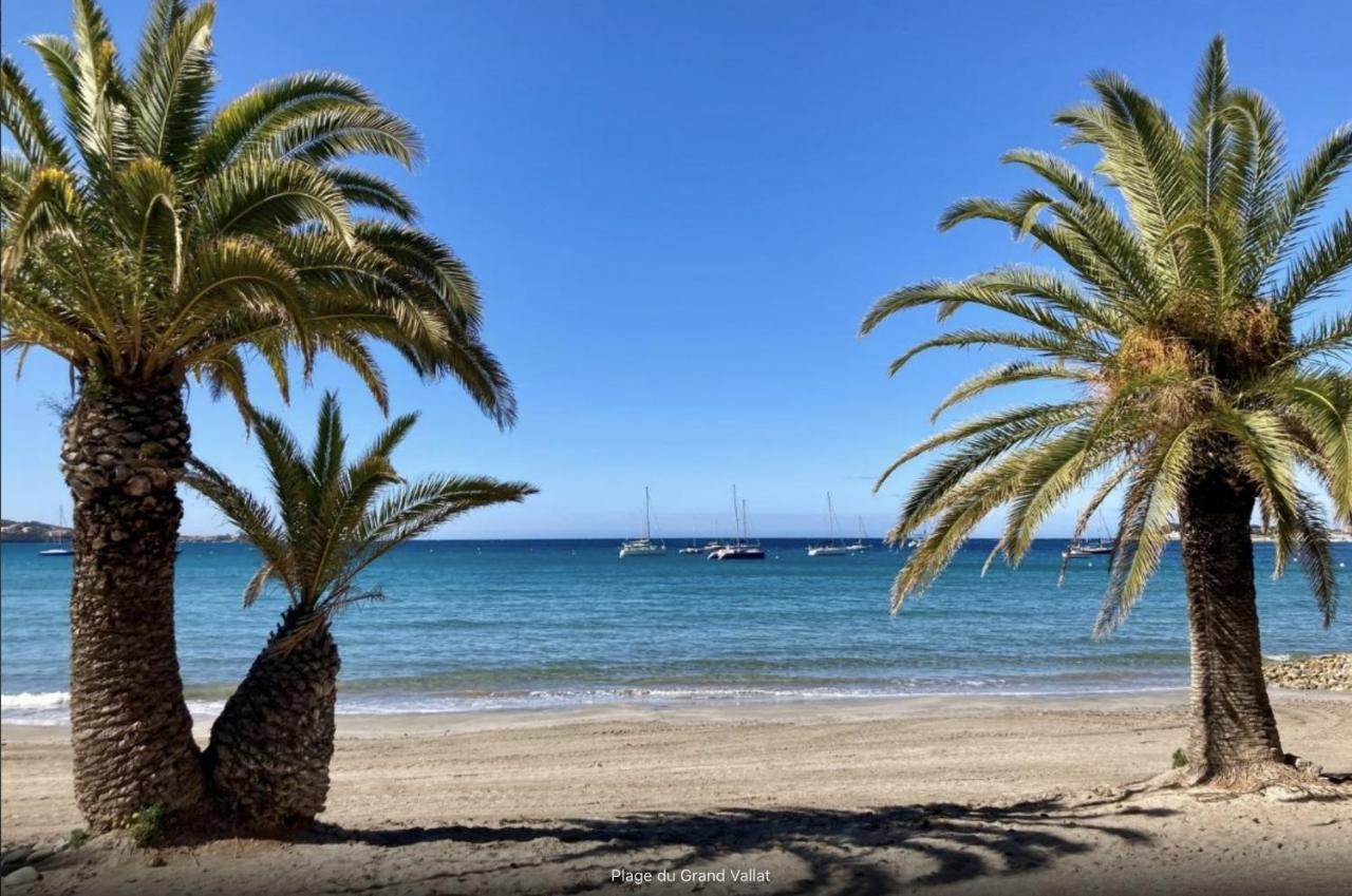 Bandol: Elegant Et Cosy 2 Pieces, Proche Ville Et Plage Eksteriør billede